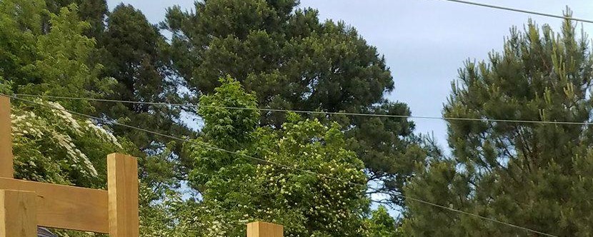 Virginia Beach Virginia Campground Virginia Beach Koa