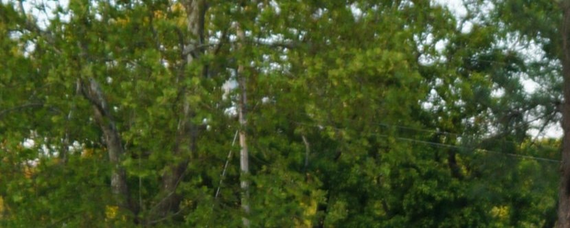 Virginia Beach, Virginia Campground | Virginia Beach KOA