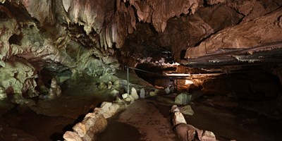 Book a summer tour at Crystal Cave in Sequoia National Park