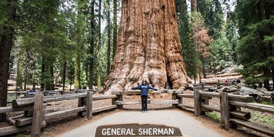 FREE ENTRY DAYS AT SEQUOIA/KINGS CANYON NATIONAL PARKS 2026