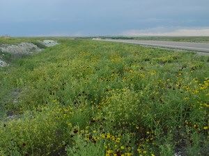 Smoky Valley Scenic Byway