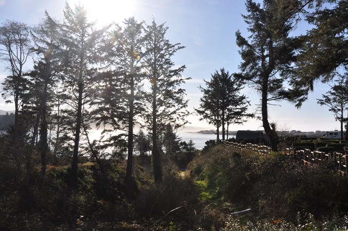 Waldport / Newport KOA Journey