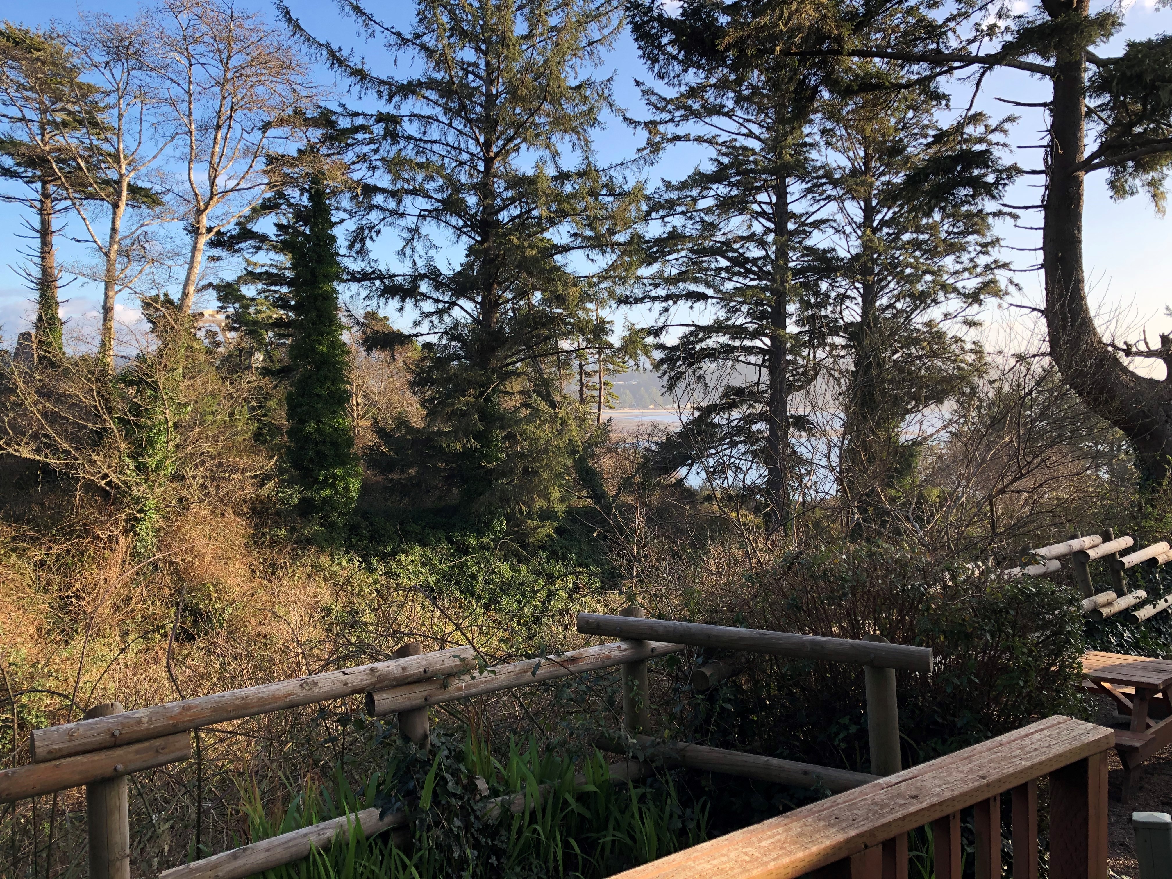 1 Room Cabin with a View
