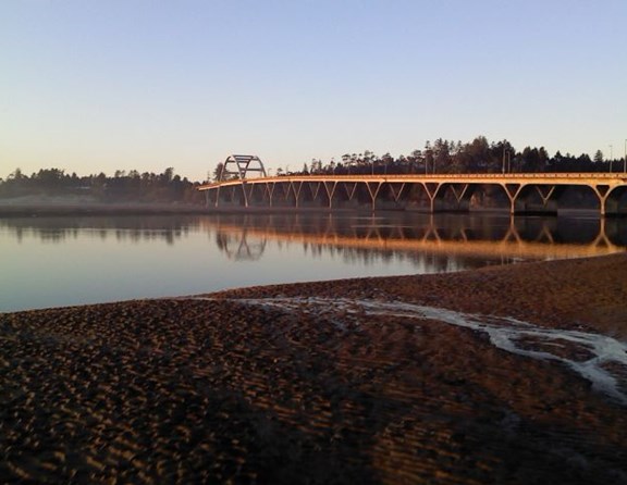 You can take a walk across this beautiful bridge into the little town of Waldport. Have lunch, do a little shopping, or play on the bay beach.