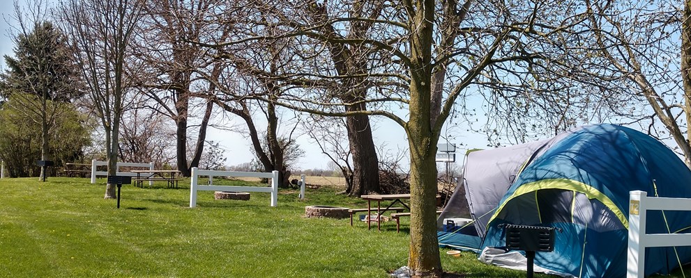 Grass pad tent sites!
