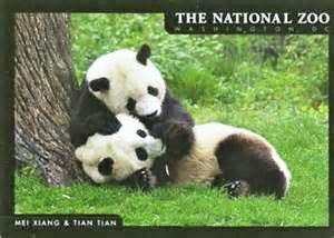 The Smithsonian's National Zoo