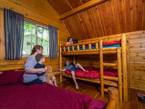 1 Room Cabin 2 night for $100.00 Photo