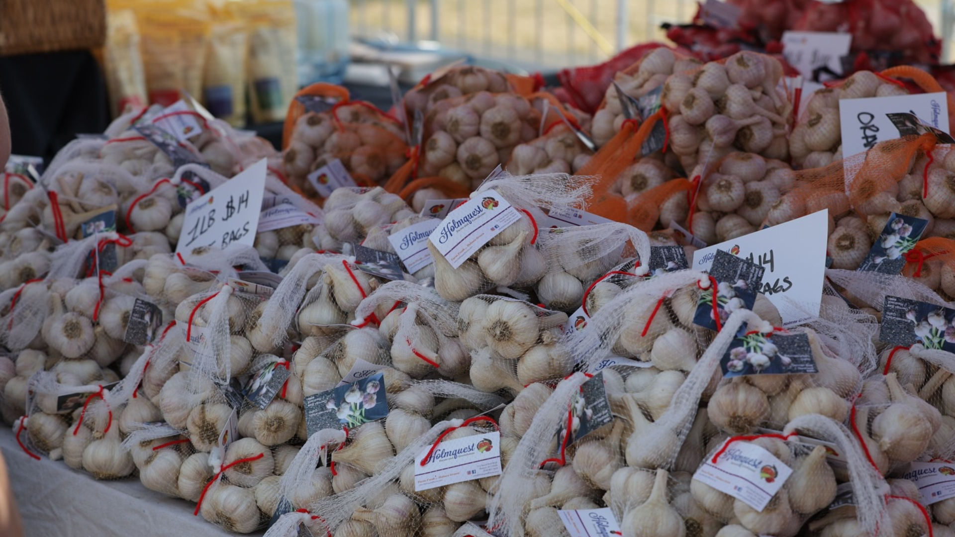 Glorious Garlic Festival Photo