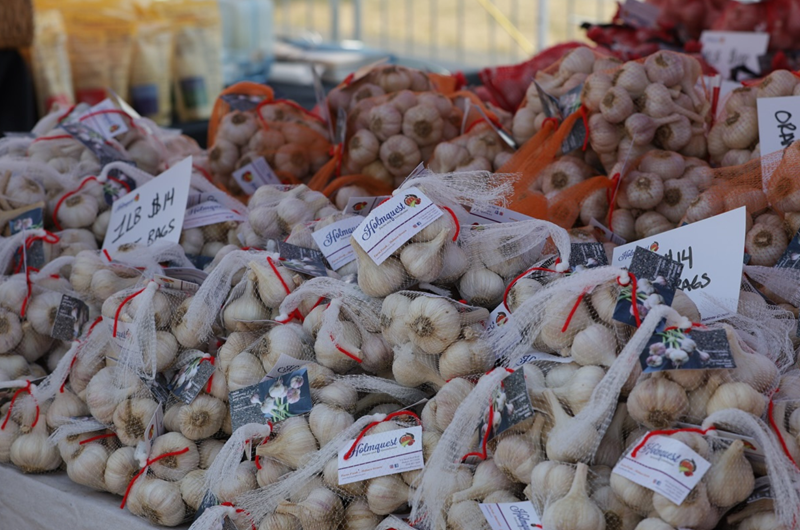 Glorious Garlic Festival Photo