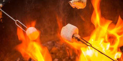 Campfire & S'mores