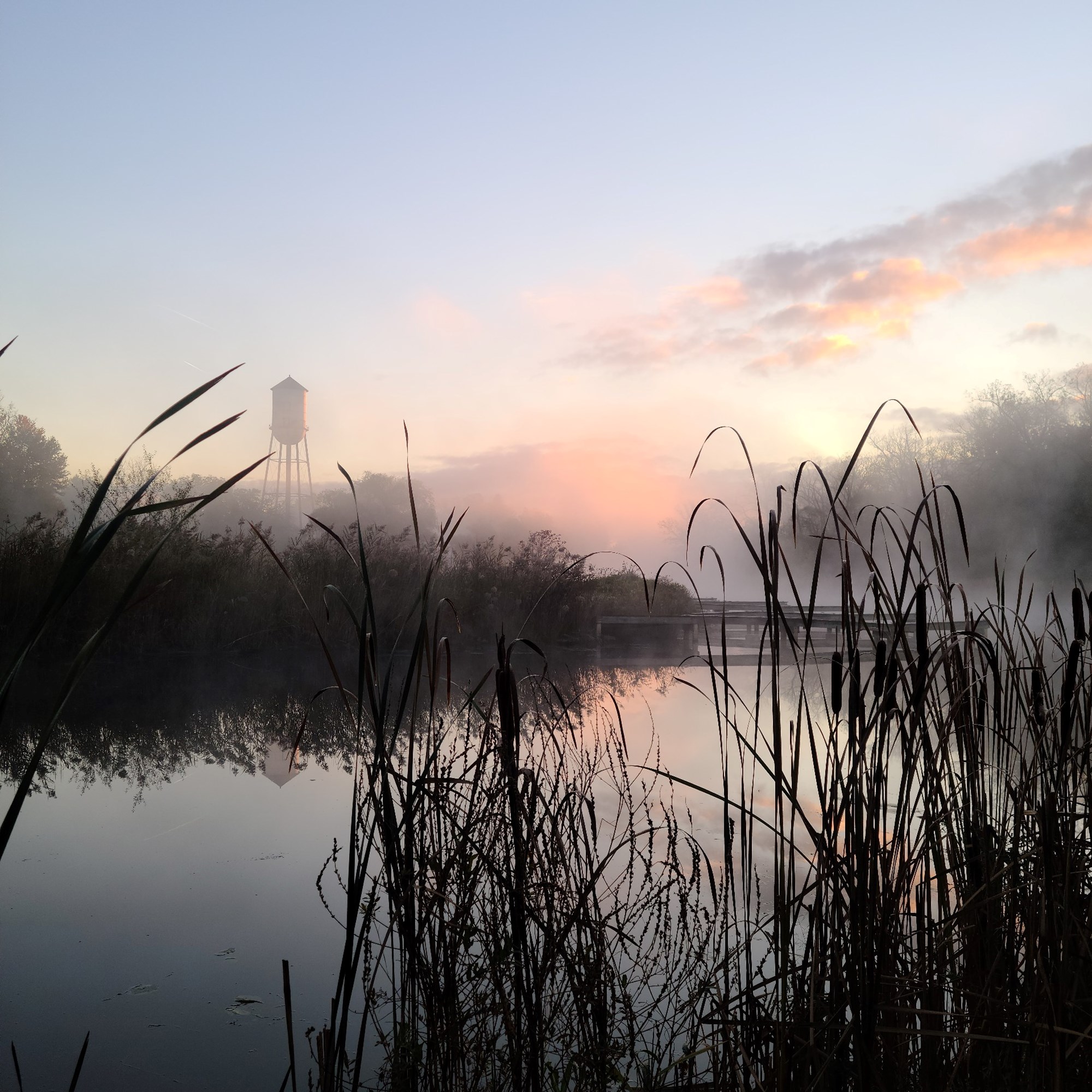 Free Fishing Day- Statewide! Photo