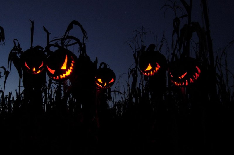 HALLOWEEN WEEKEND Photo