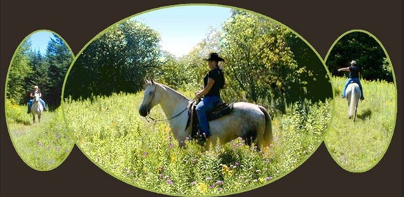 Horseback Riding - Stillmeadow Ranch