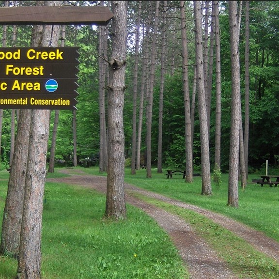 Greenwood Creek State Forest