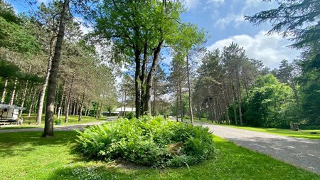 Natural Bridge / Watertown, NY KOA Journey