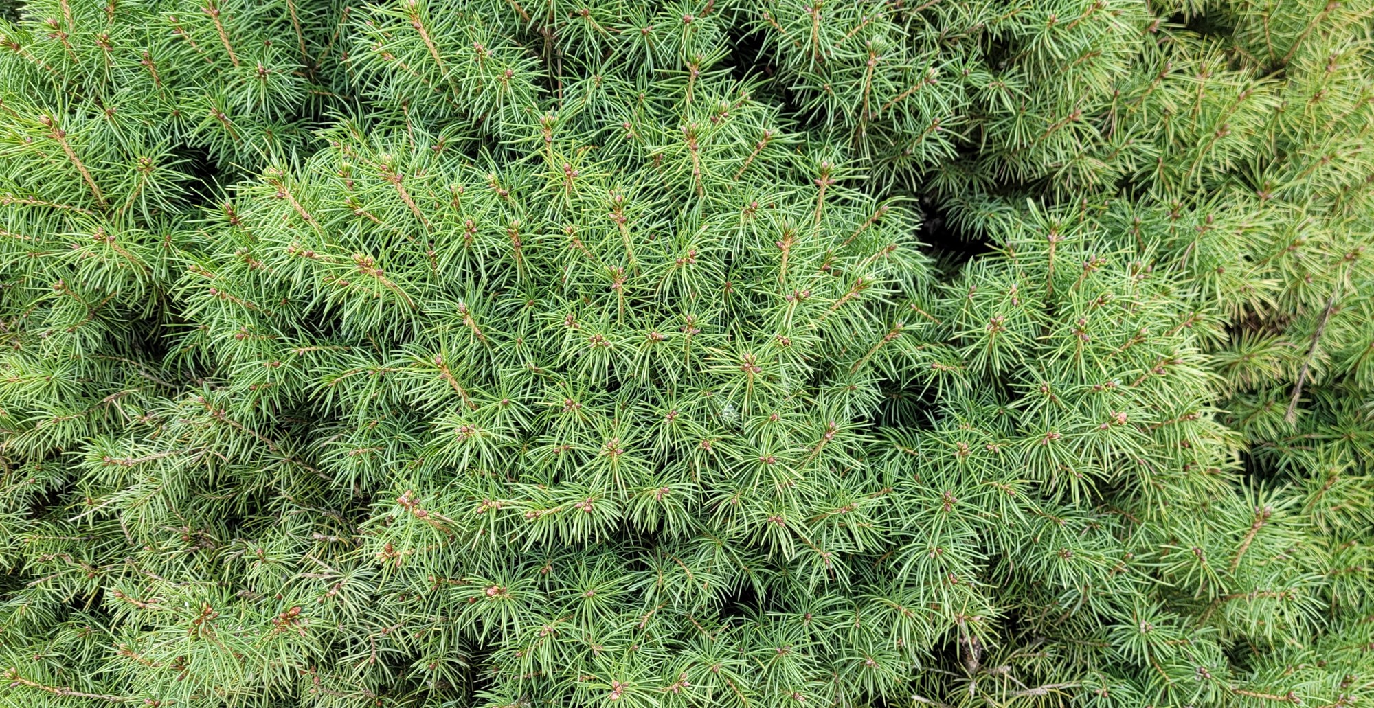 Natural Bridge, New York Campground Natural Bridge / Watertown KOA Journey