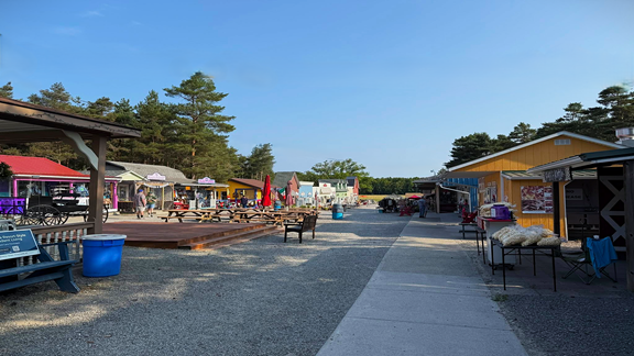 The Windmill Farm & Craft Markets