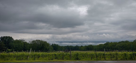 Seneca Lake Wine Trail