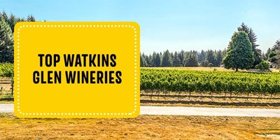 Top Watkins Glen Wineries