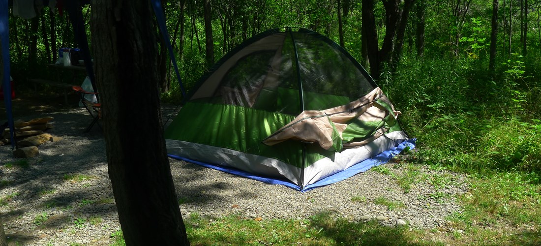 Shady tent site