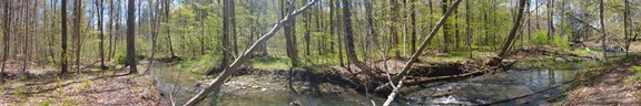 Shequaga creek & Hiking Trail
