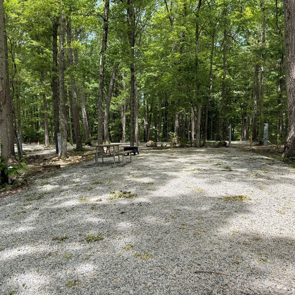 Discover Clara Barton's Bend: How Camping Should Be
