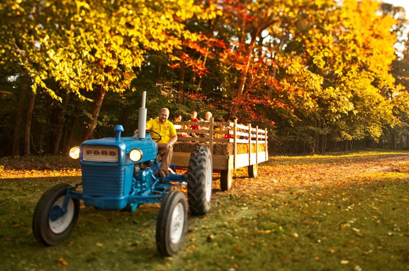Fall Harvest Weekend! Photo