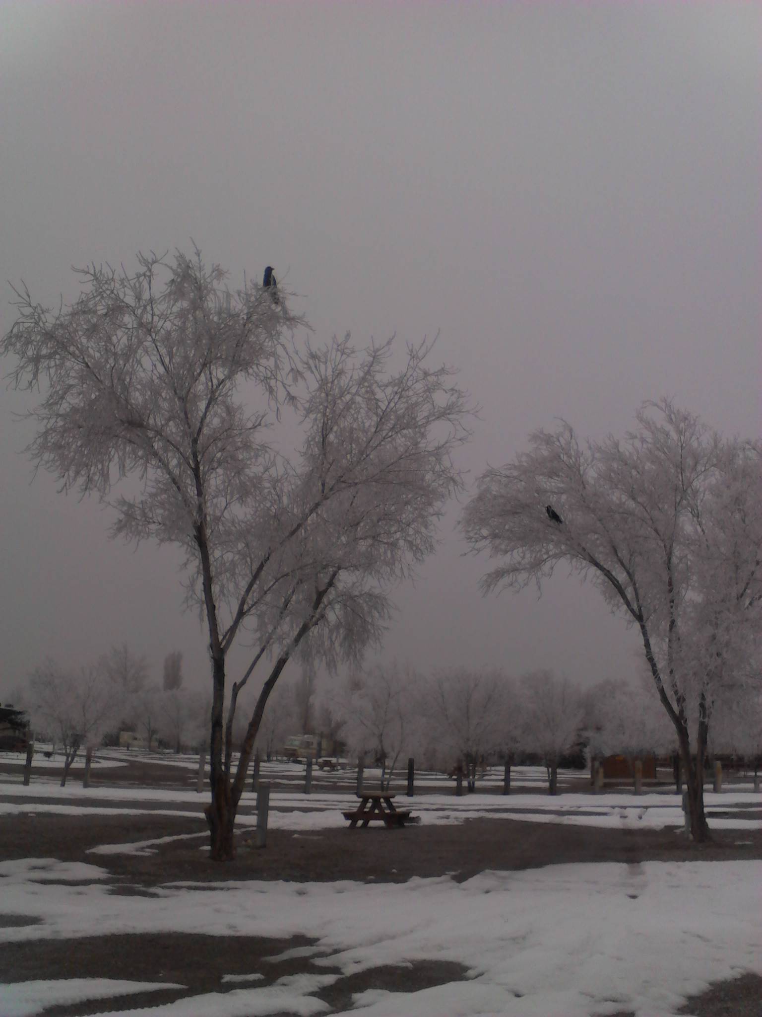 Wendover KOA Journey RV Campground in West Wendover, NV