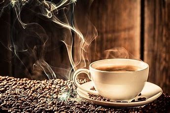 Lazy Bear Espresso