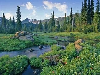 Jewel Basin Hiking & Fishing Area