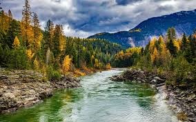Local Montana Tours