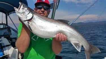 Flathead Lake Charters