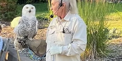 Birds of Prey Presentation