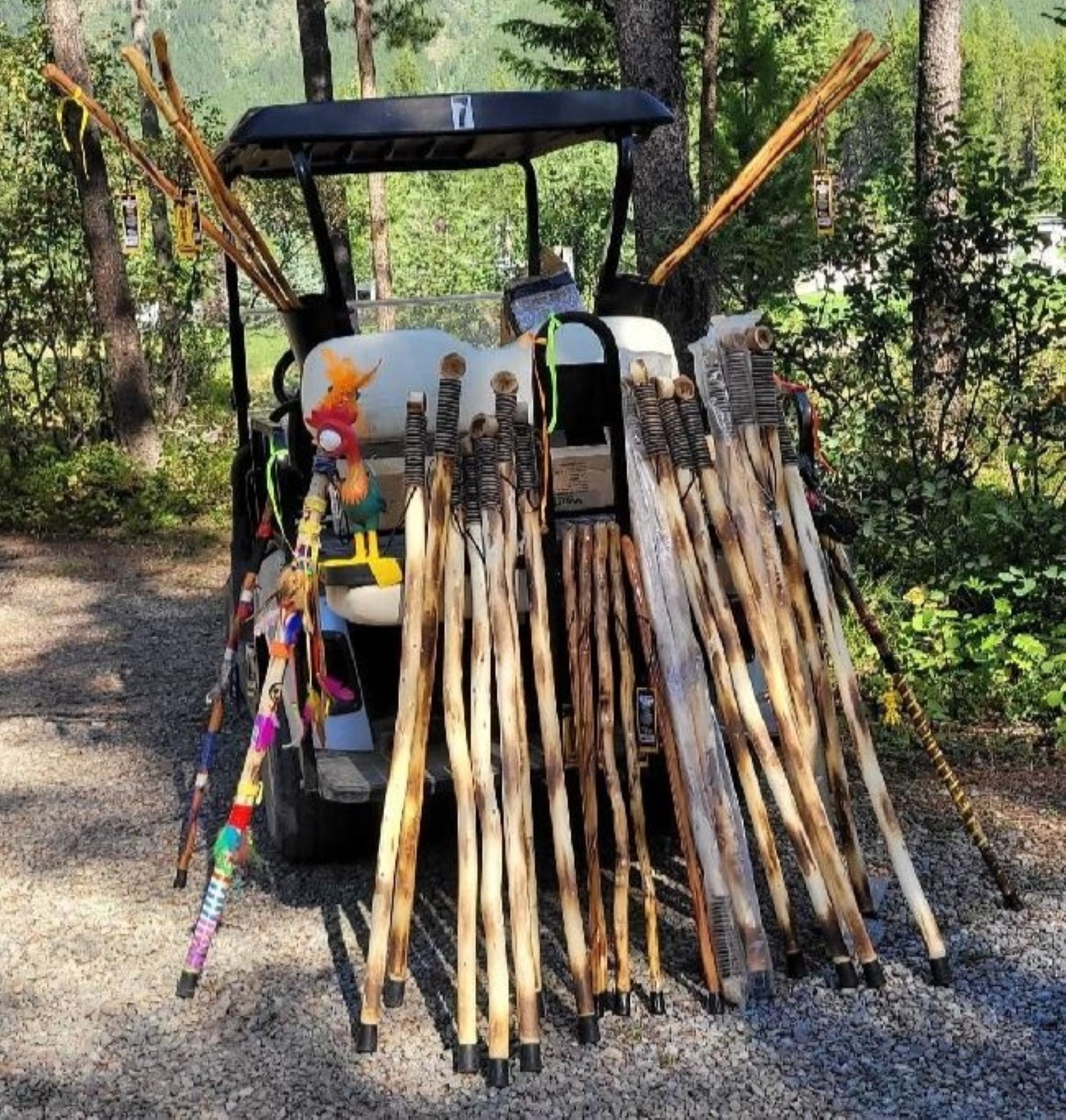 Decorate a Walking Stick Photo