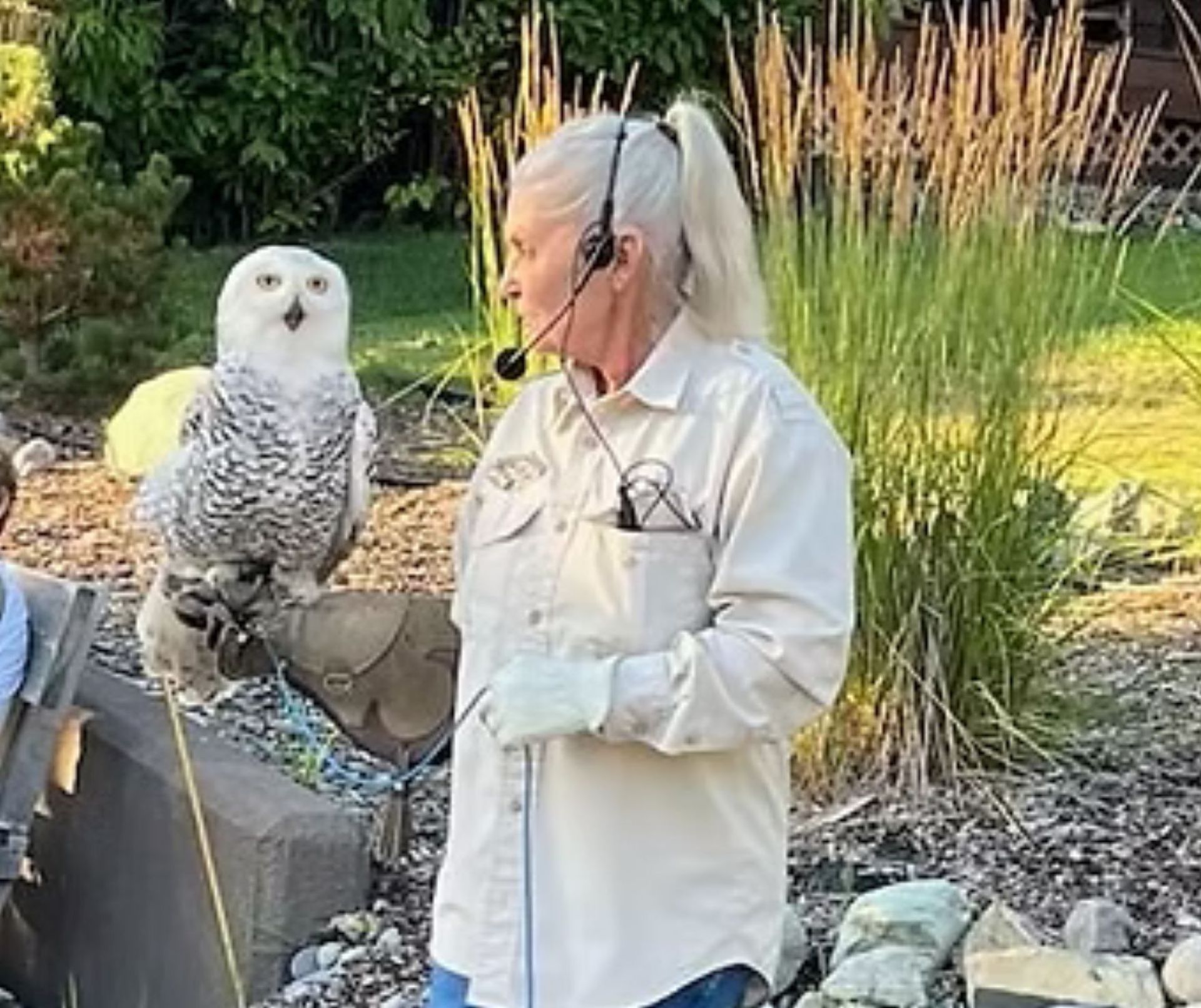 Birds of Prey Presentation Photo