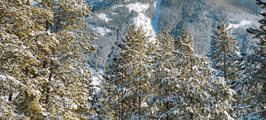 Winter View from Front Deck