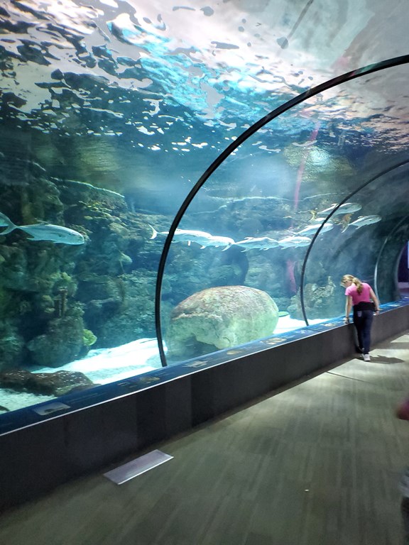 Henry Doorly Zoo & Aquarium