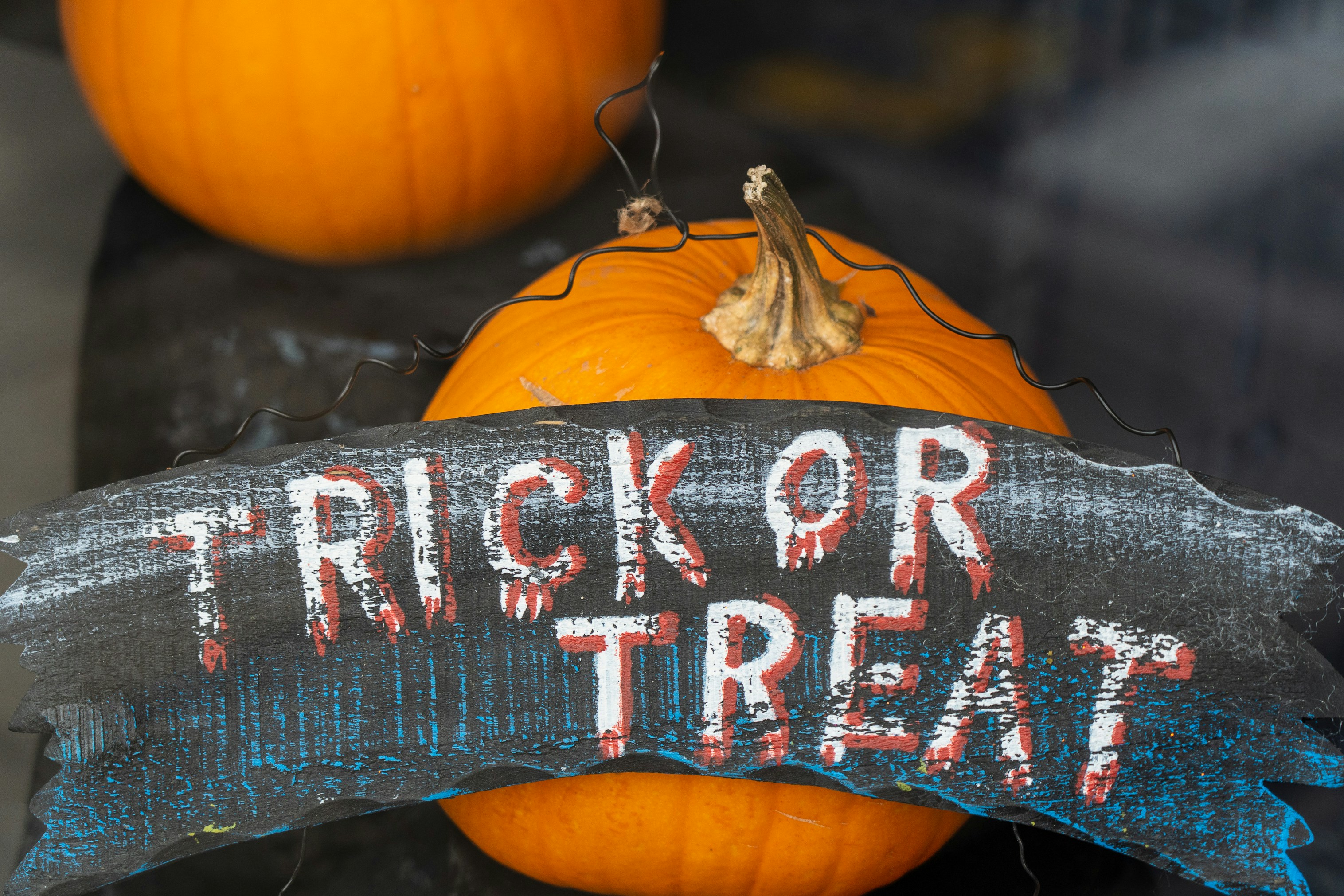 Halloween Spooktivity Weekends Photo