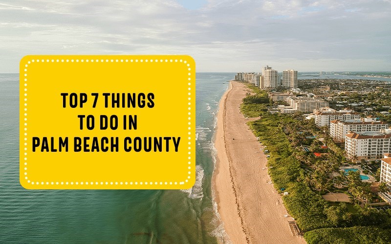 Top 7 Things to Do in Palm Beach County