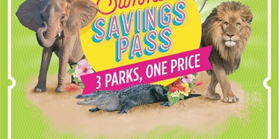 Summer Savings Pass Promotion