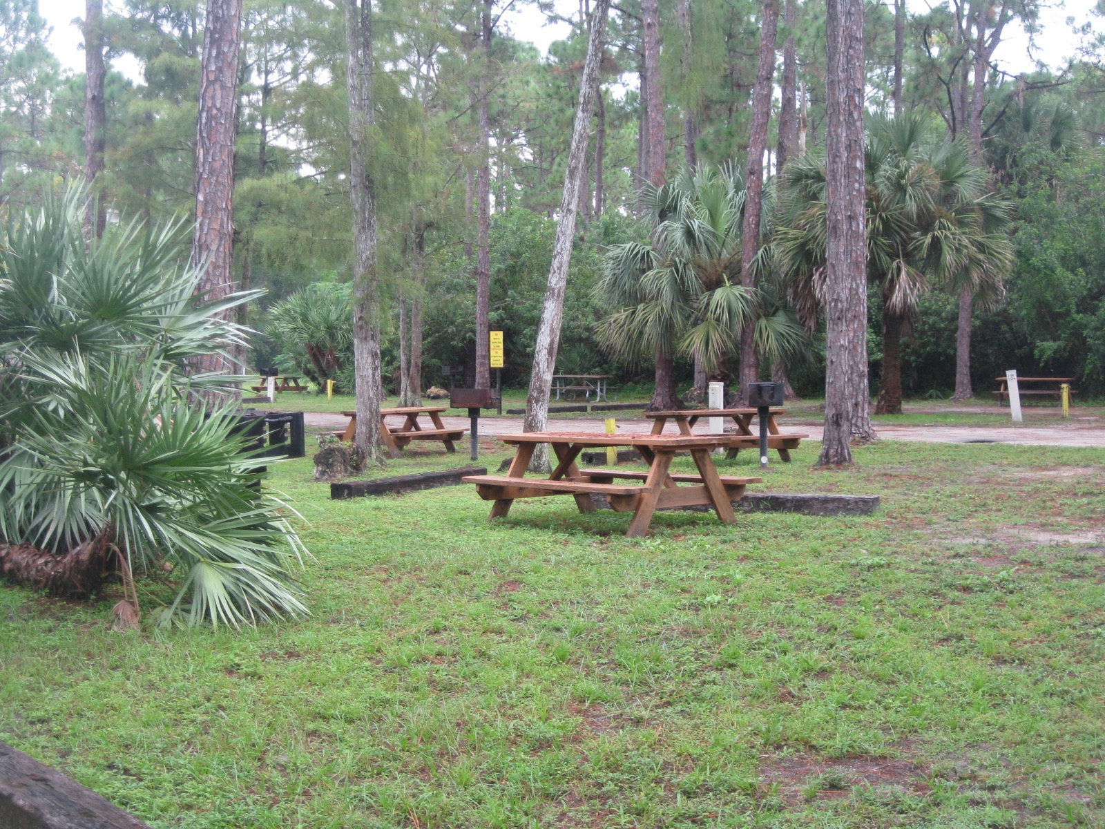 Tent Campsites in West Palm Beach Lion Country Safari KOA