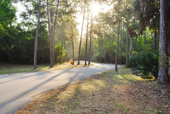 Plan a trip to Key Biscayne, Florida