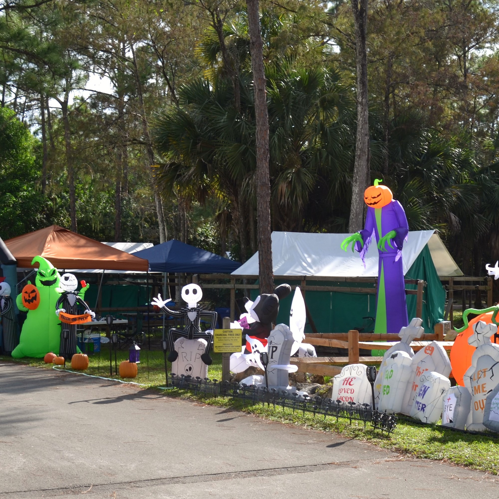 Events West Palm Beach Camping Lion Country Safari KOA