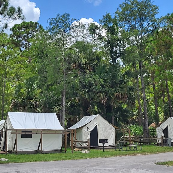 Plan a trip to Sunshine Ranches, Florida