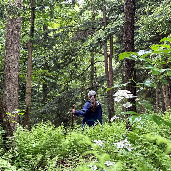 Hiking