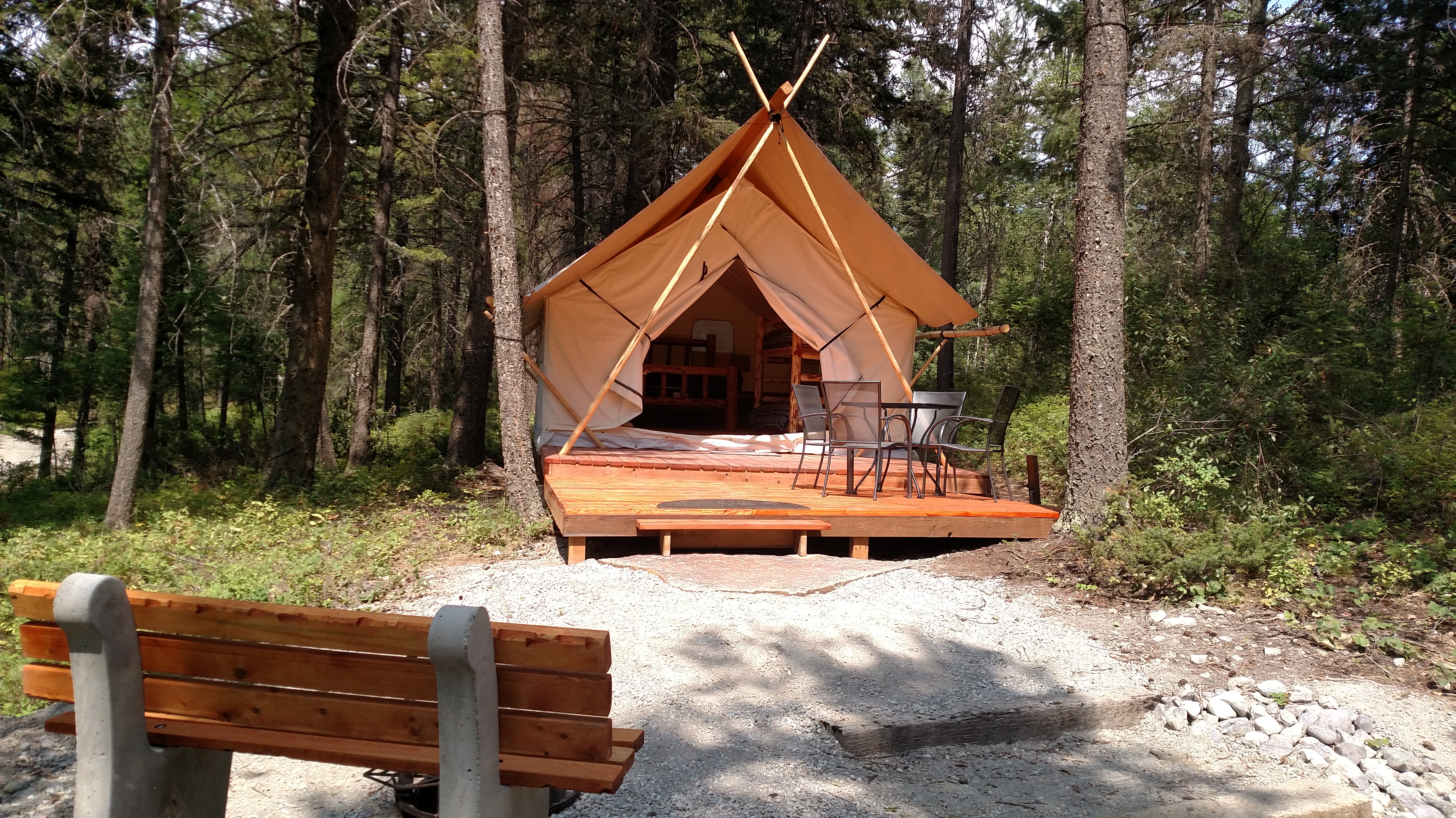 Modern tent in the woods