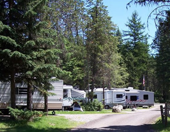 Many of our guests arrive as part of a group and we are able to place then in nearby campsites regardless of the type of RV, tent or Kamping Kabin they use for camping.