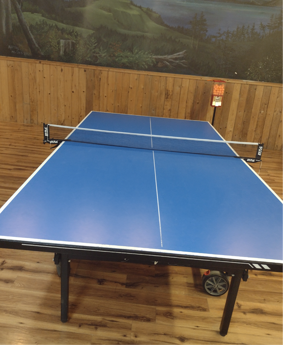 Free Ping Pong