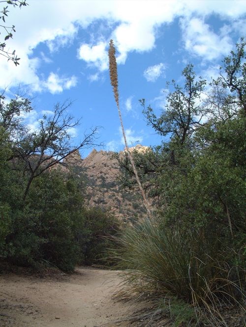 Hiking & Nature Photography