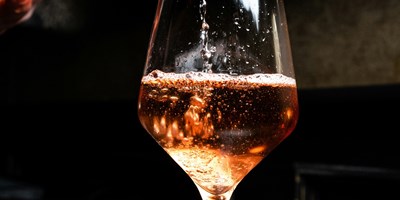 Discover the Willcox Wine Country Fall Festival